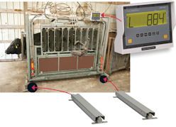 Cattle Working Chute Scale Kits - Central City Scale