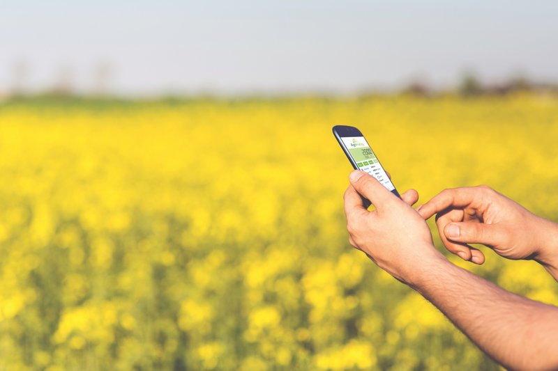 man_field_smartphone_yellow-89a901163f98a5c8fae5b84b3ec6aa91ce894acd2b00213a67238a3fec67f3f6